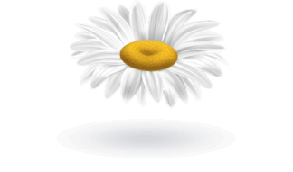 Dekoration