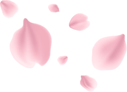 Dekoration